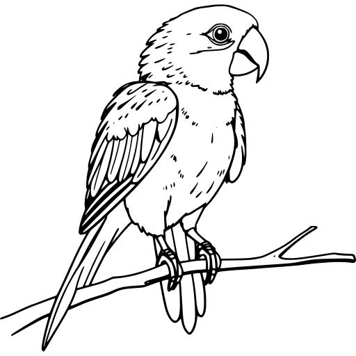 Black and white line drawing of a parrot perched on a branch