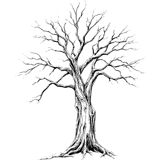 Line drawing of a tree with bare branches