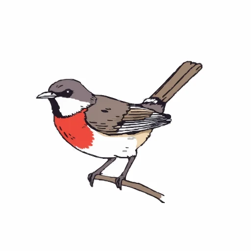 Color illustration of a small bird with a red breast